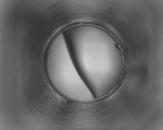 X0000070160829200605260936