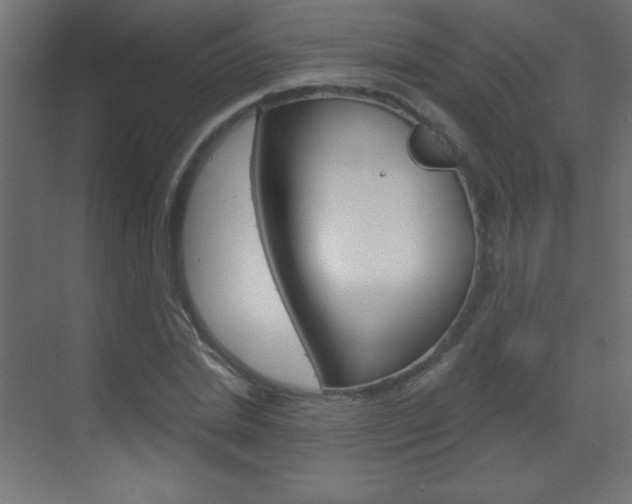 X0000070160830200605260936
