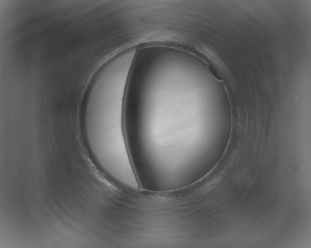 X0000070160834200605260936