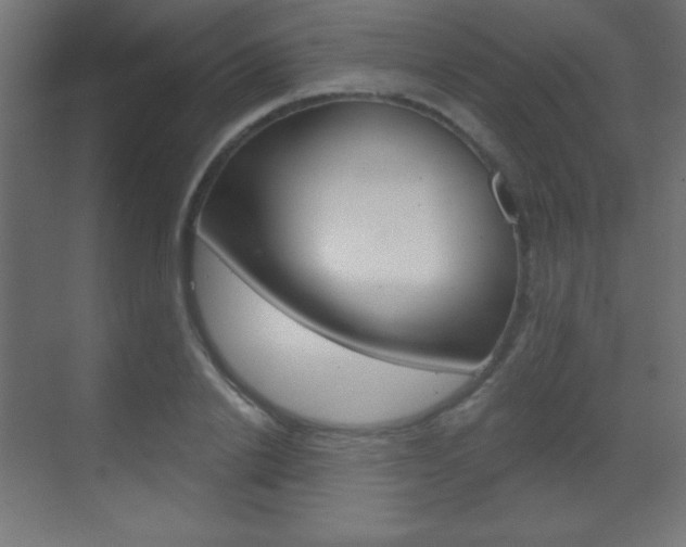 X0000070160838200605260936