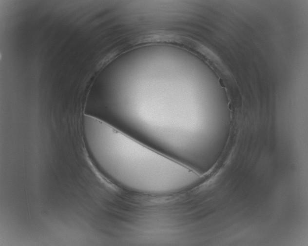 X0000070160841200605260936