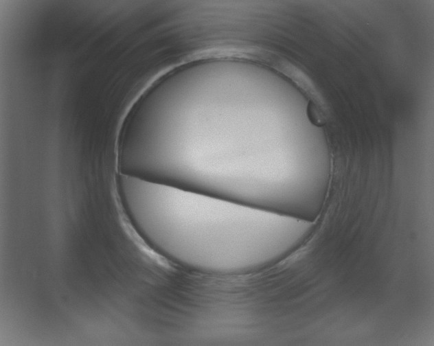 X0000070160844200605260937
