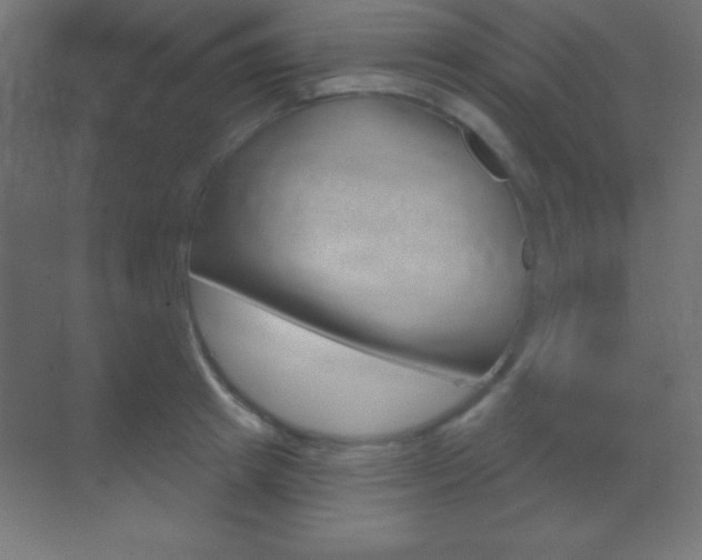 X0000070160849200605260937