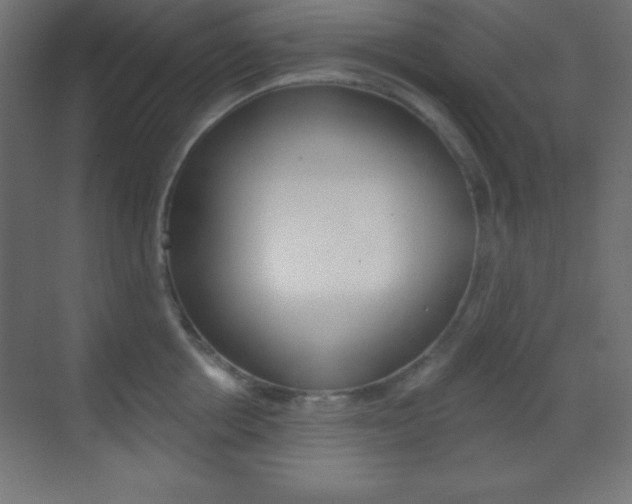 X0000070160858200605260937