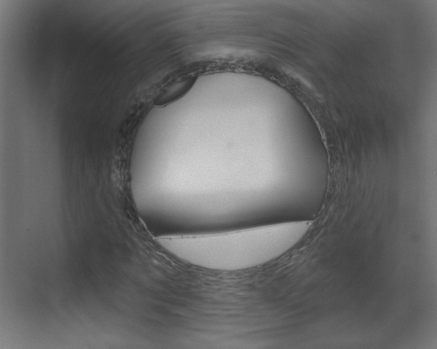 X0000070160869200605260936