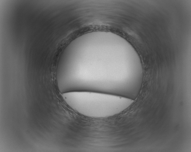 X0000070160870200605260936