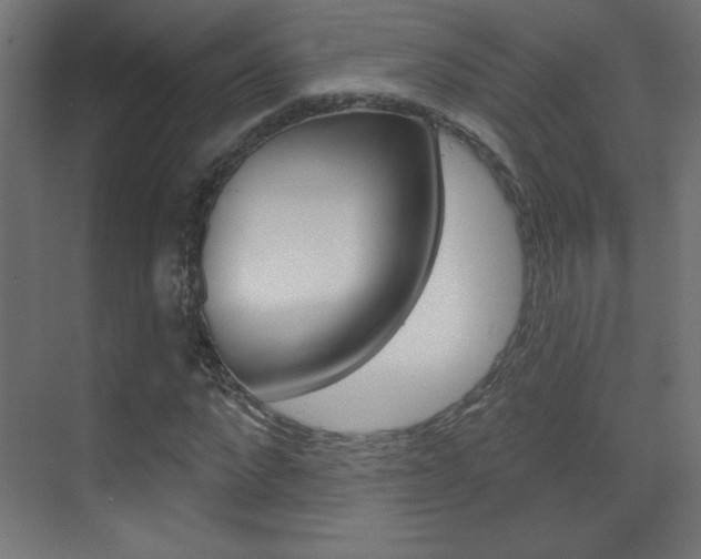 X0000070160872200605260936