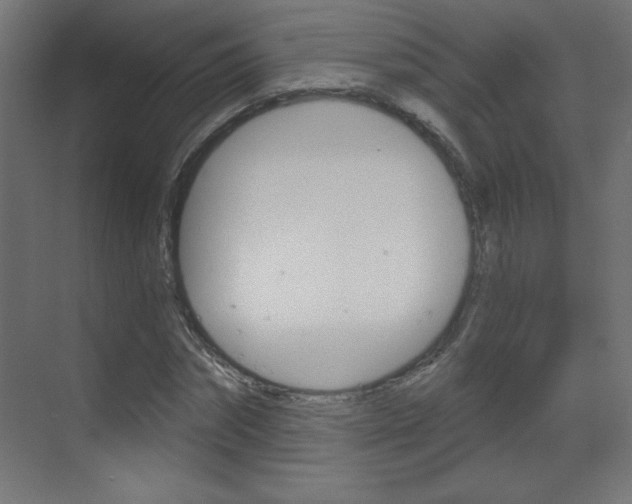 X0000070160874200605260936