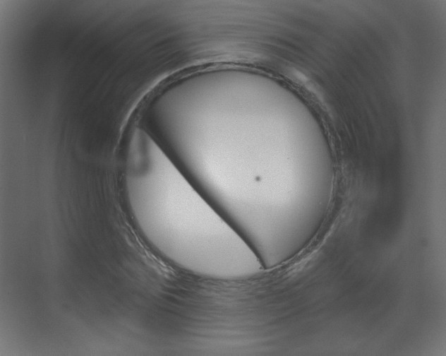 X0000070160875200605260936