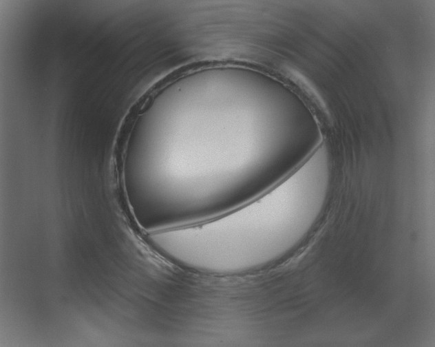 X0000070160876200605260936