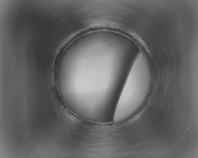 X0000070160877200605260936