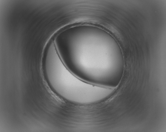 X0000070160880200605260936
