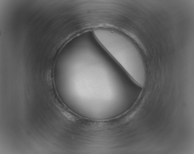 X0000070160881200605260936