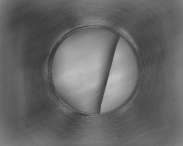 X0000070160883200605260936