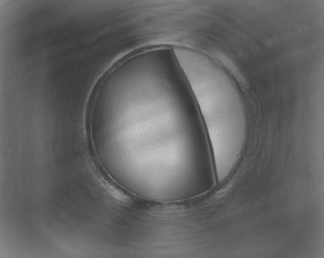 X0000070160884200605260936