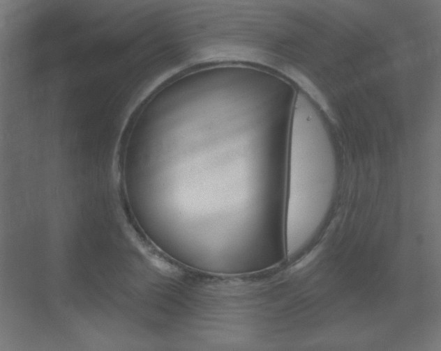 X0000070160885200605260936