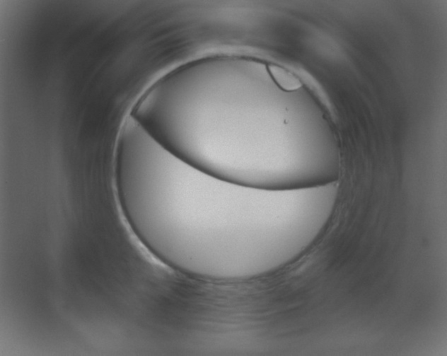 X0000070160903200605260935