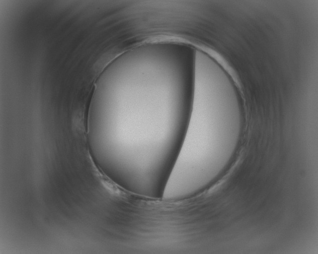 X0000070160905200605260935