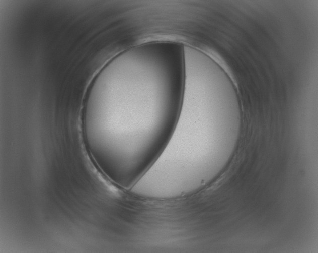 X0000070160906200605260935