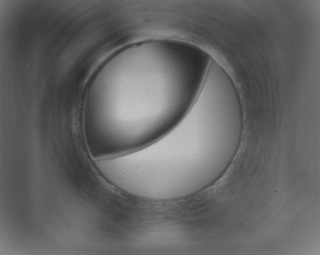 X0000070160912200605260935