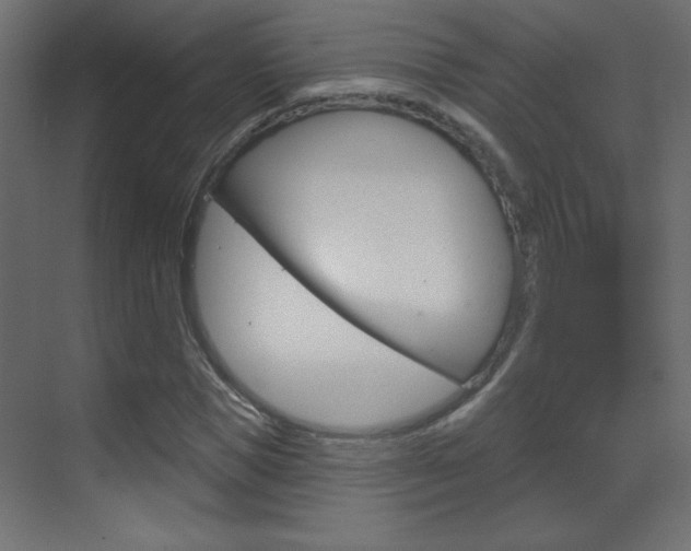 X0000070160921200605260935