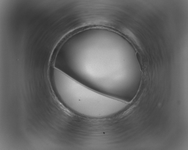 X0000070160924200605260935