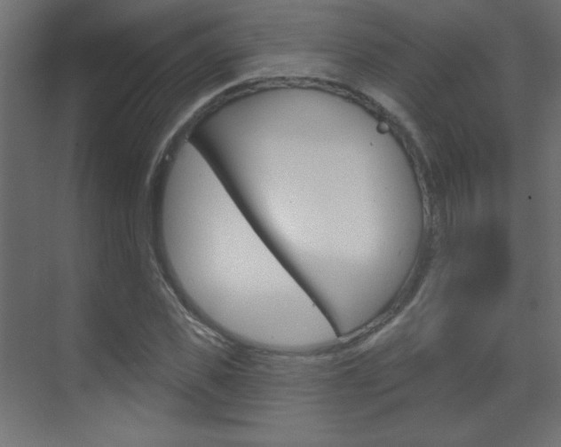 X0000070160925200605260935