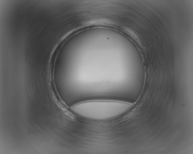 X0000070160931200605260935