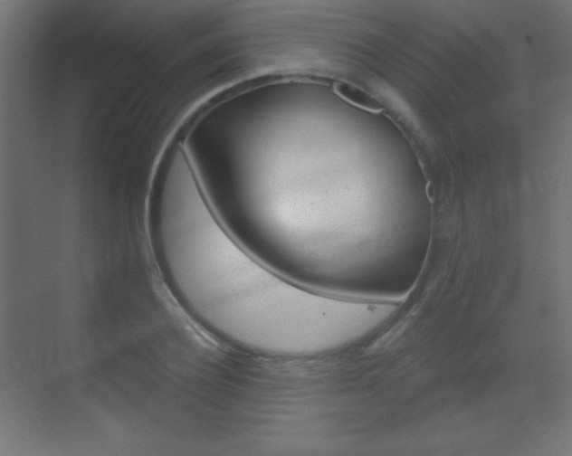 X0000070160932200605260935