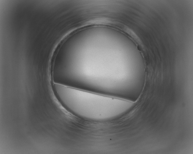 X0000070160939200605260935
