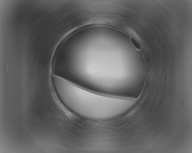 X0000070160940200605260935