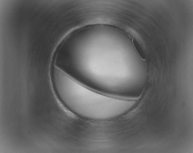 X0000070160942200605260935