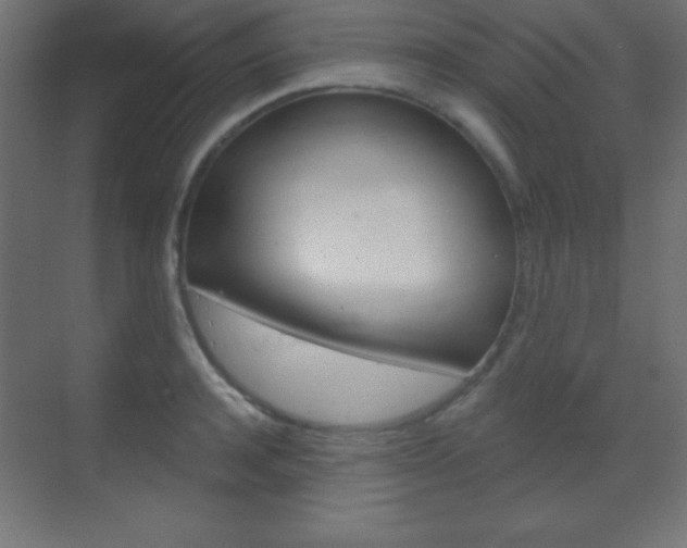 X0000070160944200605260935