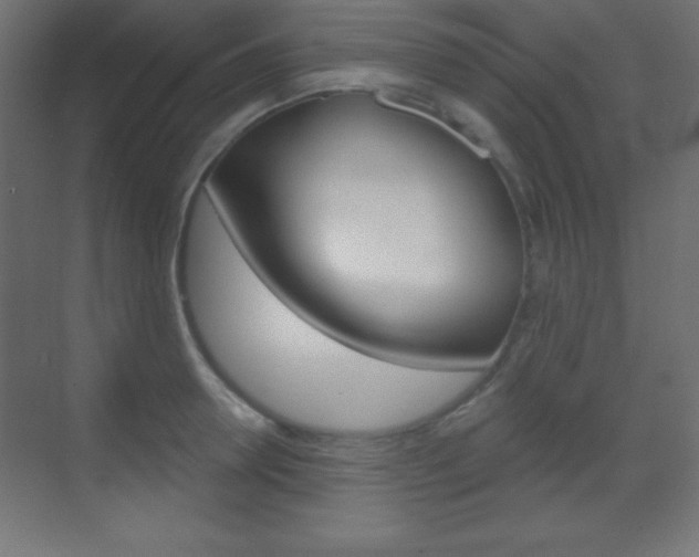 X0000070160946200605260935