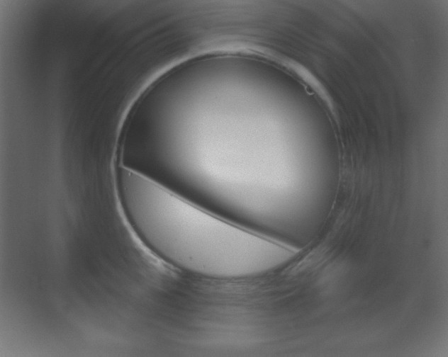 X0000070160951200605260935
