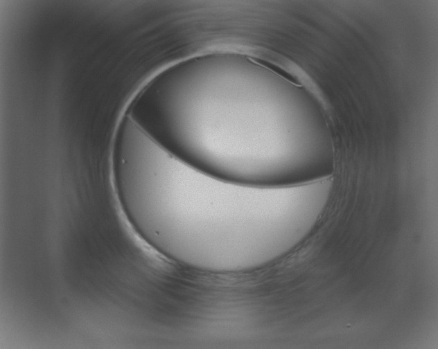 X0000070160955200605260935