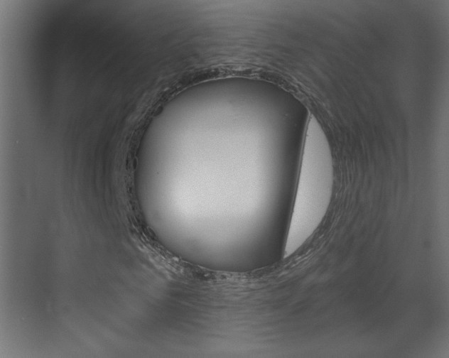 X0000070160961200605260934