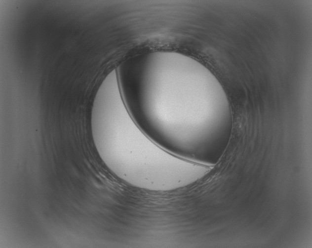 X0000070160964200605260934