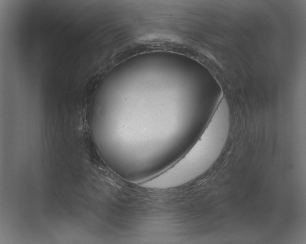 X0000070160965200605260934