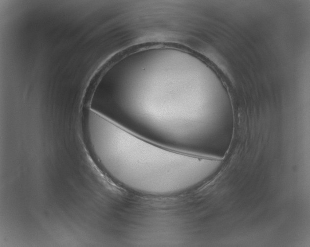 X0000070160972200605260934