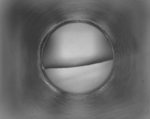 X0000070160982200605260934