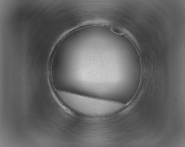X0000070160989200605260934