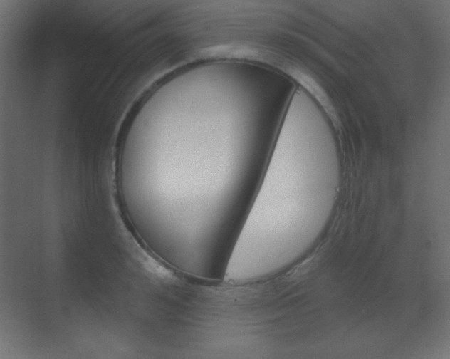X0000070160992200605260934