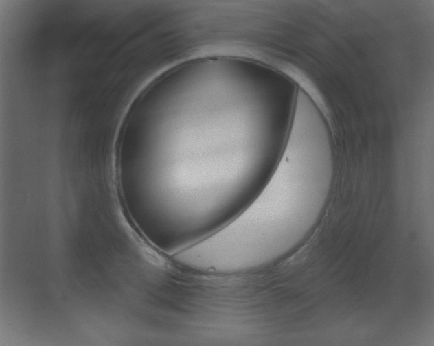 X0000070160996200605260934