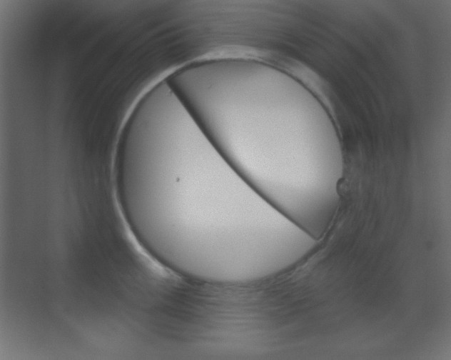X0000070161003200605260934