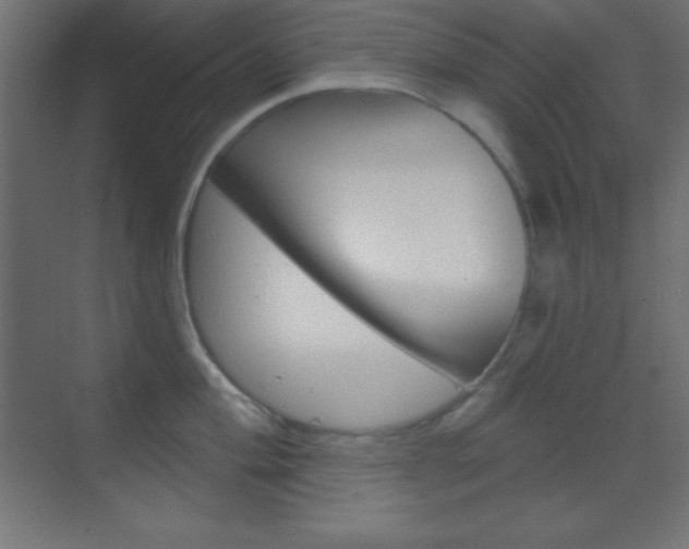 X0000070161004200605260934