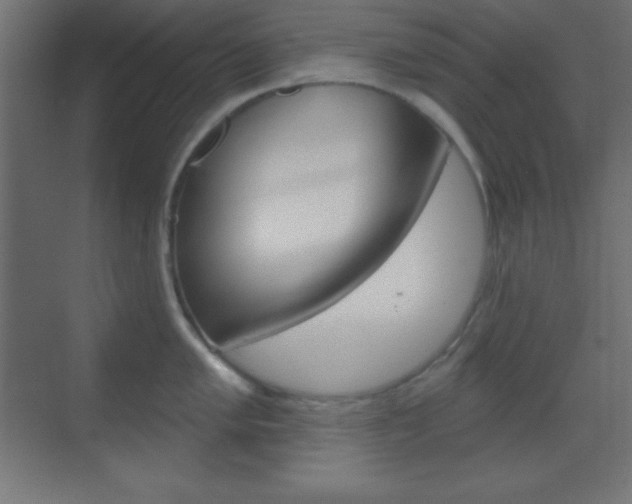 X0000070161005200605260934