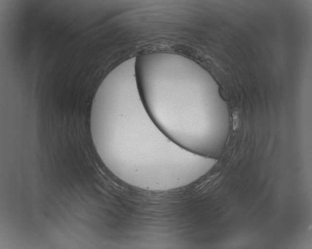 X0000070161011200605260933