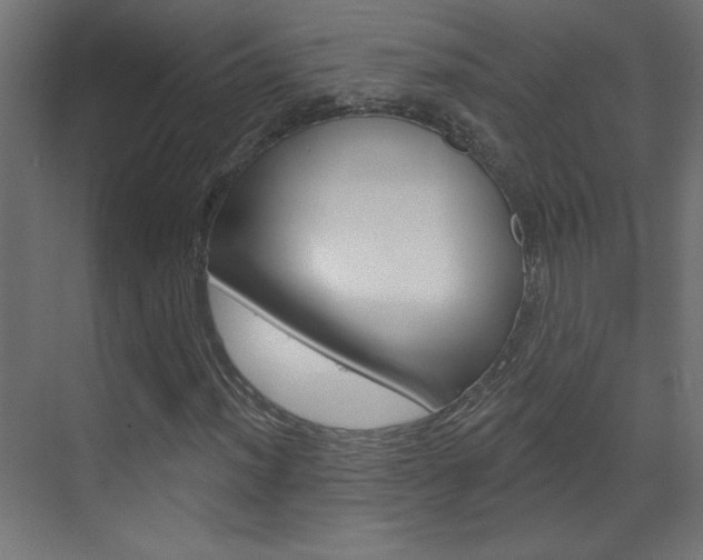 X0000070161012200605260933