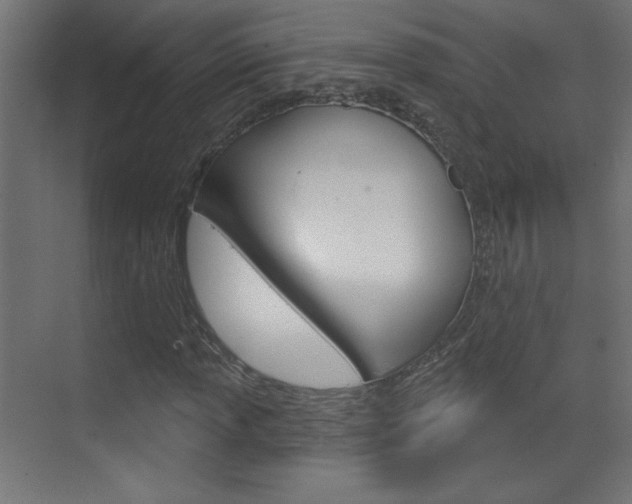 X0000070161013200605260933